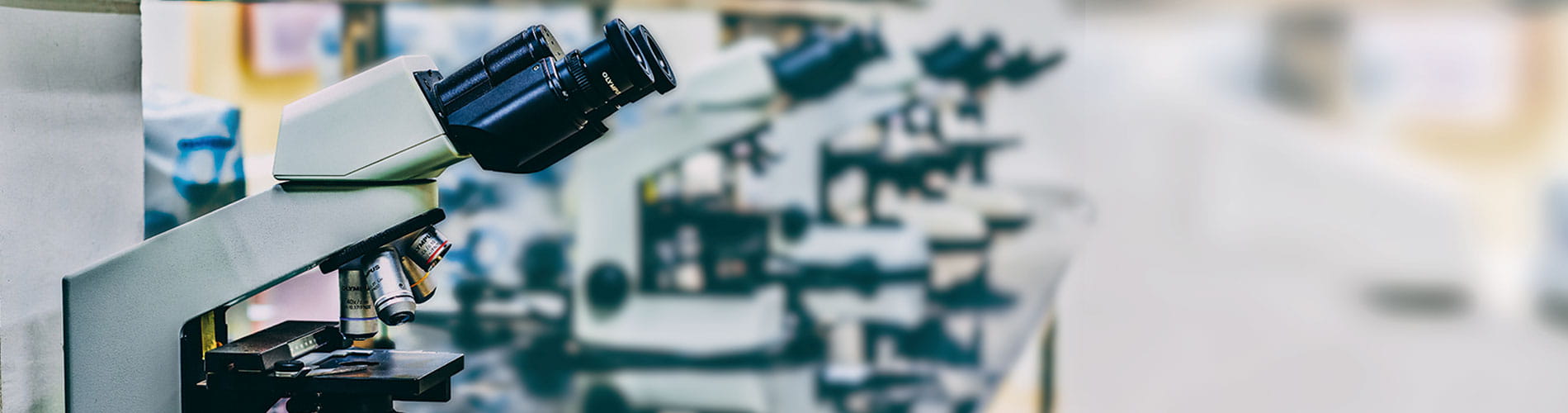 Photo of microscopes